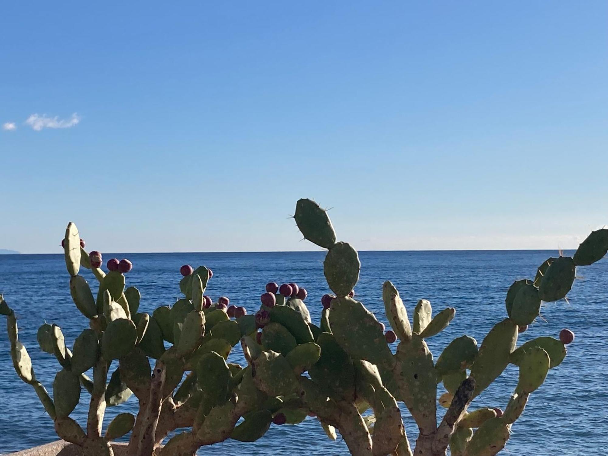 Taliari Taormina Apartment エクステリア 写真